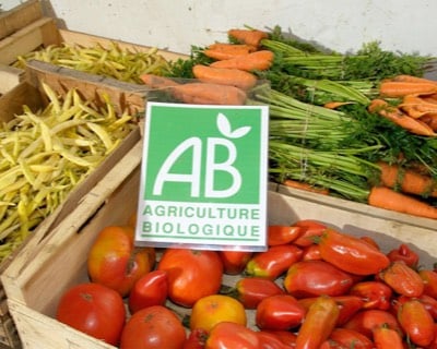 <h2>Décision et émission des documents de certification</h2>