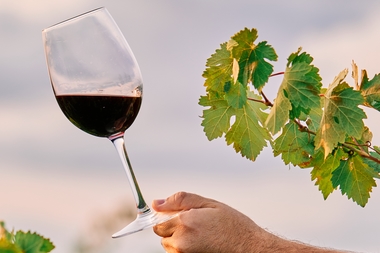 exportateur / grossiste